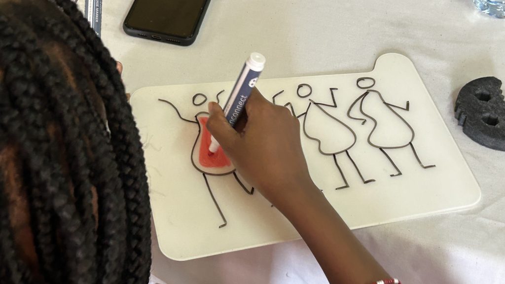 imsinne Ideenbretter zur Ausbildung von Lehrer in Tanzania